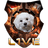 L1VE emblem