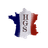 --HGS emblem