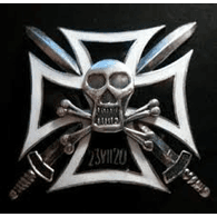 1DHS emblem