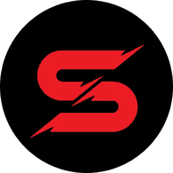 TSIN emblem