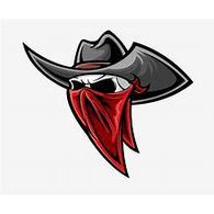 P-N-G emblem