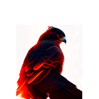 -ST4R emblem