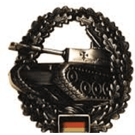 S-FS emblem