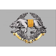 KD2 emblem