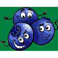 OOK emblem