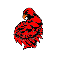 HAWK- emblem