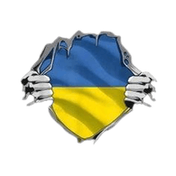 VVARN emblem