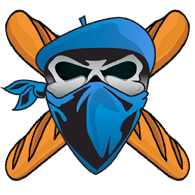 P4IN emblem