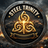-STT- emblem
