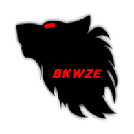 BKWZE emblem