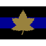 2CAB emblem