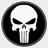 BGWER emblem