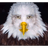 BRUHM emblem