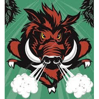 N4ER emblem