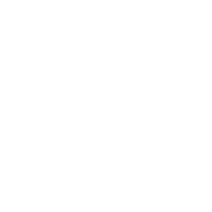 WTLS emblem