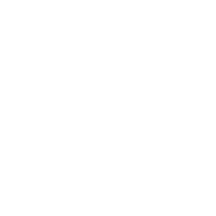 TEXT emblem