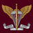 VAT77 emblem