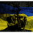 UAGC emblem