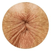 _LMAA emblem