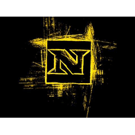 NEXSQ emblem