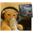 BORS emblem