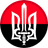 BS-2 emblem