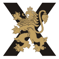 BG-X emblem