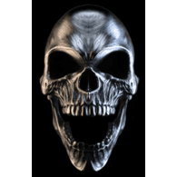 4CZE emblem