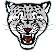 IRBIS emblem