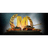 MVG emblem