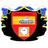 FST13 emblem