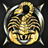R--S emblem