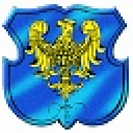 HANYS emblem