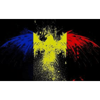 RO_GS emblem