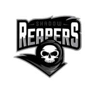 S_RS emblem