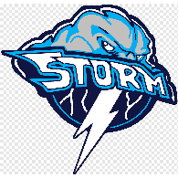 ST0PM emblem