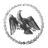 VIKI emblem