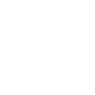 Z0RZ emblem