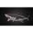 SARK1 emblem