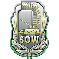 1SOW emblem