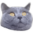 FUZZY emblem