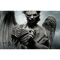 _DAA_ emblem