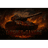 -TDS emblem