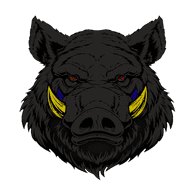 SINS emblem