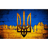 M310 emblem