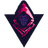 QNTSS emblem