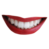 DNTST emblem