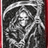 STLDU emblem
