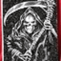 STLDU emblem