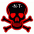 -N-T- emblem